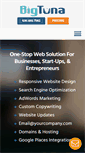 Mobile Screenshot of bigtunaweb.net